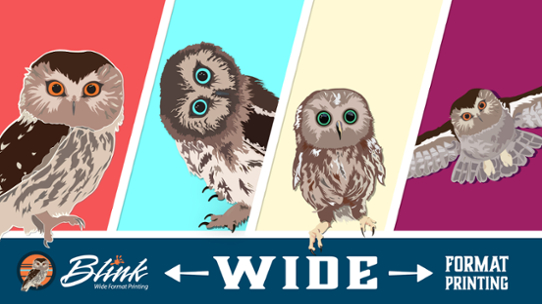 Blink's family of owls