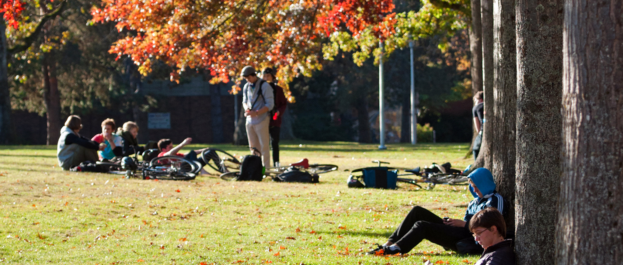 students studying outside on the quad