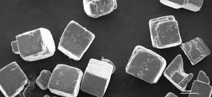 Salt crystals