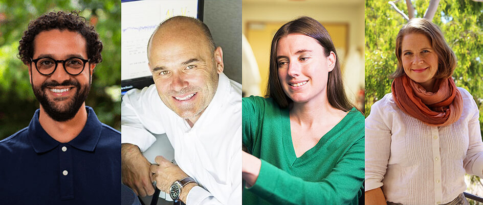 IALH Research Fellows; Left to Right: Tarek Amer, Stuart MacDonald, Stephanie Willerth, and ann-elise lewallen.