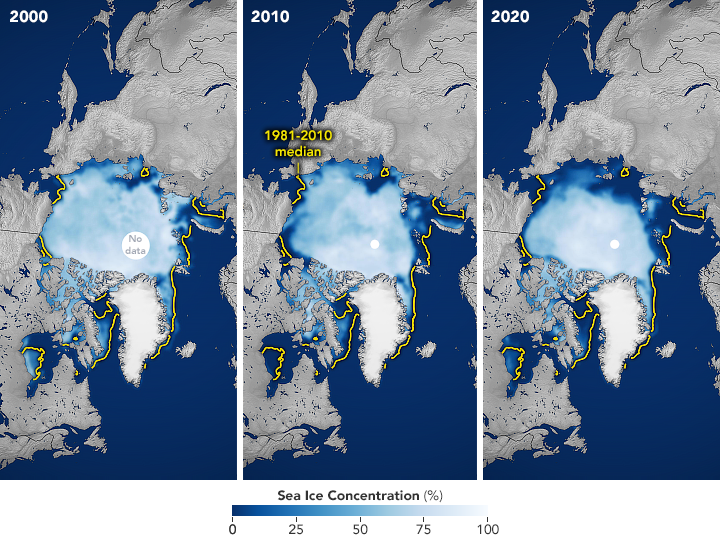 Sea Ice