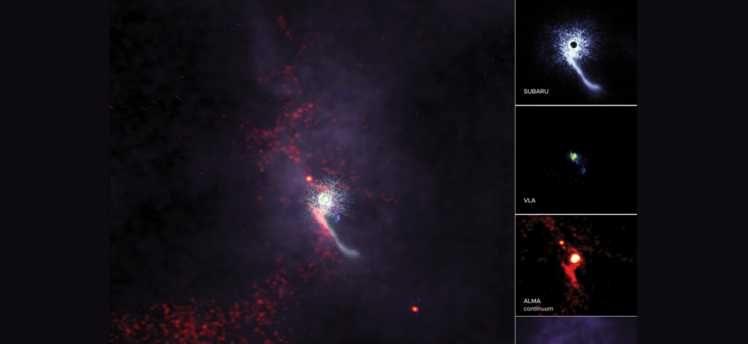First Comprehensive View of a Stellar Flyby Event Has Discovered
