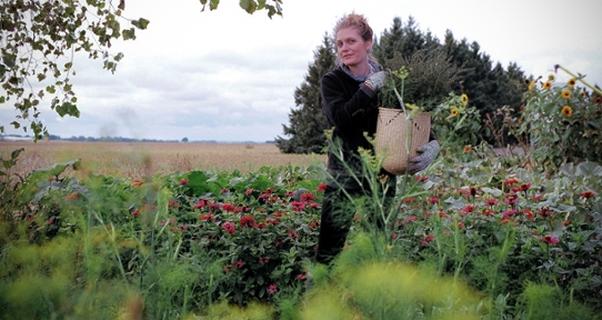 Visiting Graduate Research fellow Susie Fisher