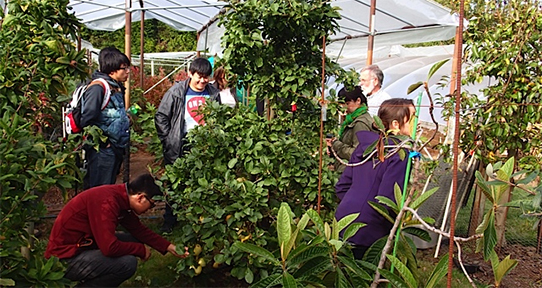 Students looking at trees