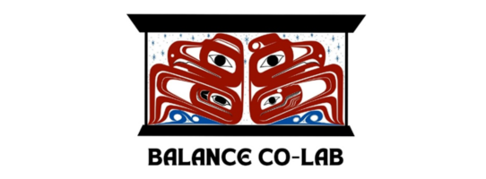 balancecolablogo