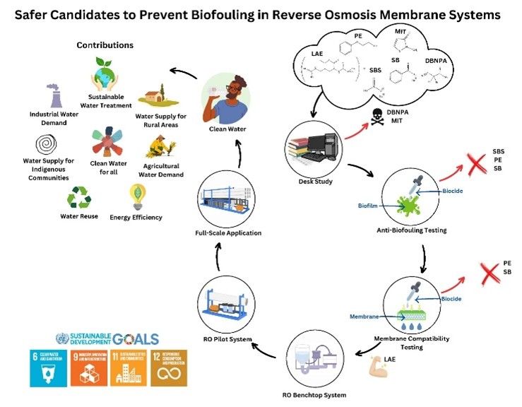 Safer Candidates to Prevent Biofouling in Reverse Osmosis Membrane Systems