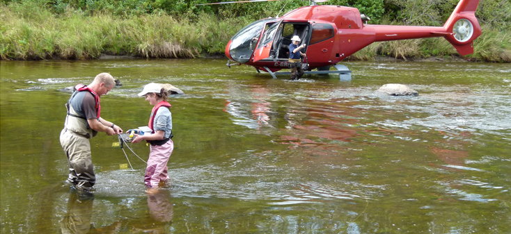Deploying nutrient experiments and benthic macroinvertebrate artificial substances in Ells River, Northern Alberta