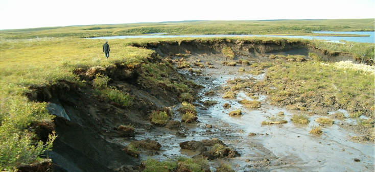 Permafrost slump in Upland Tundra, Inuvik, Northwest Territories