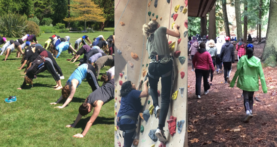A series of three photos of young women. In the first, they are doing yoga on grass. In the second, they are climbing on a climbing wall. And in the third, they are hiking through the woods.