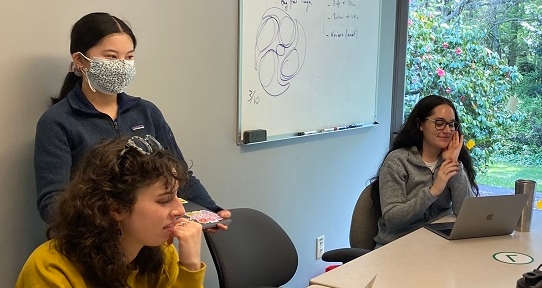 CFYS research assistants working together at the Centre