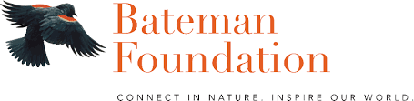 The Bateman Foundation