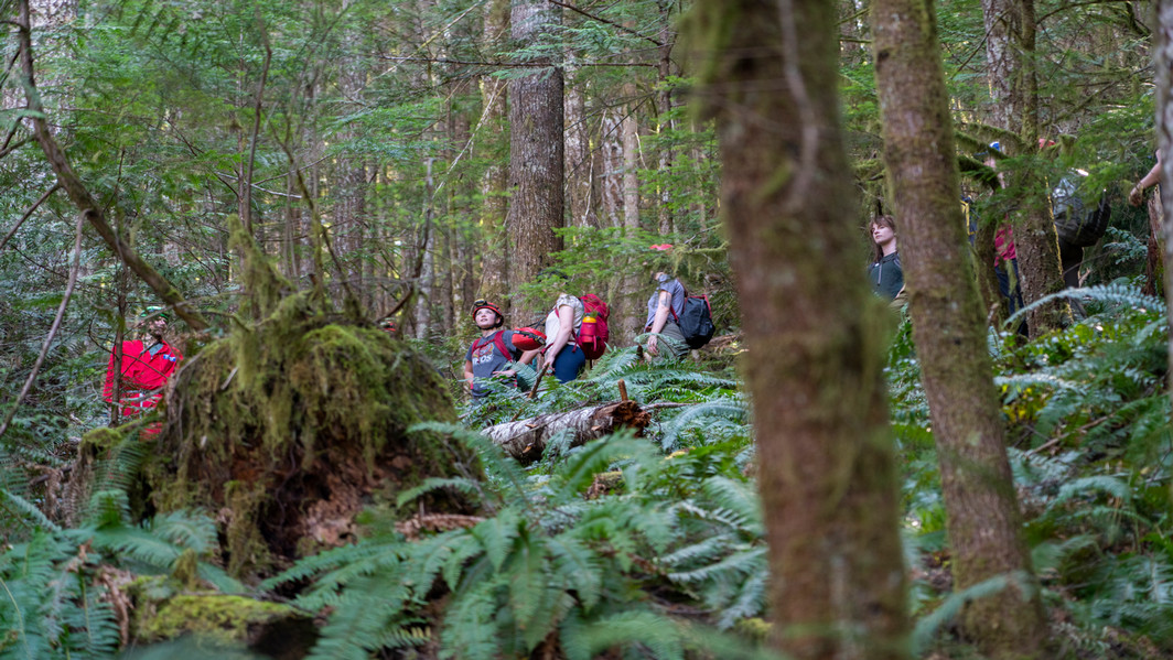 Group of people in the forest.