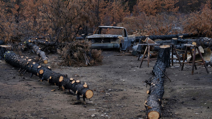 Damage car sits amongst burned trees after a fire
