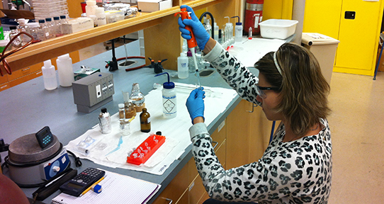 Sabrina Alessio (visiting PhD student - fellowship from FAPESP) working in the chemistry lab