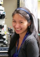Angela Pang