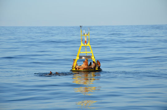 Buoy deployment