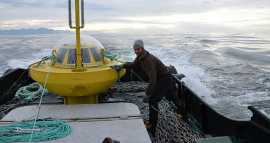Preparing buoy for deployment