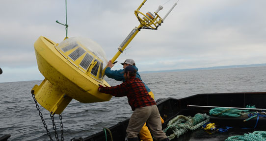 Tarbotton - Hesquiaht Sound Watchmate Buoy