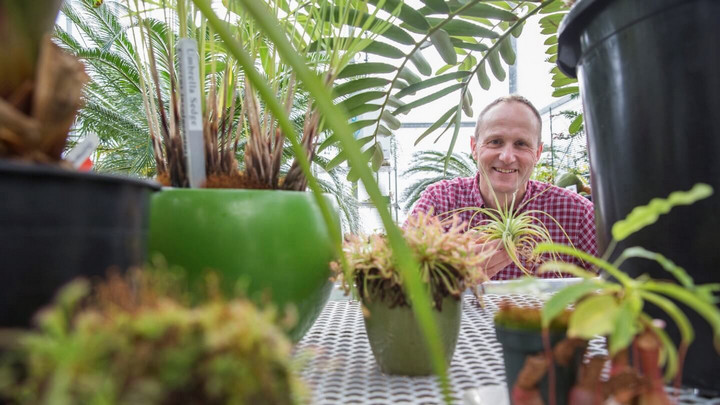 Peter Constabel viewed through some plants in the greenhouse