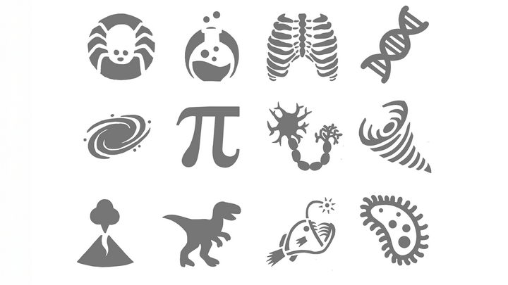 Composite of 12 different science-themed pumpkin carving templates