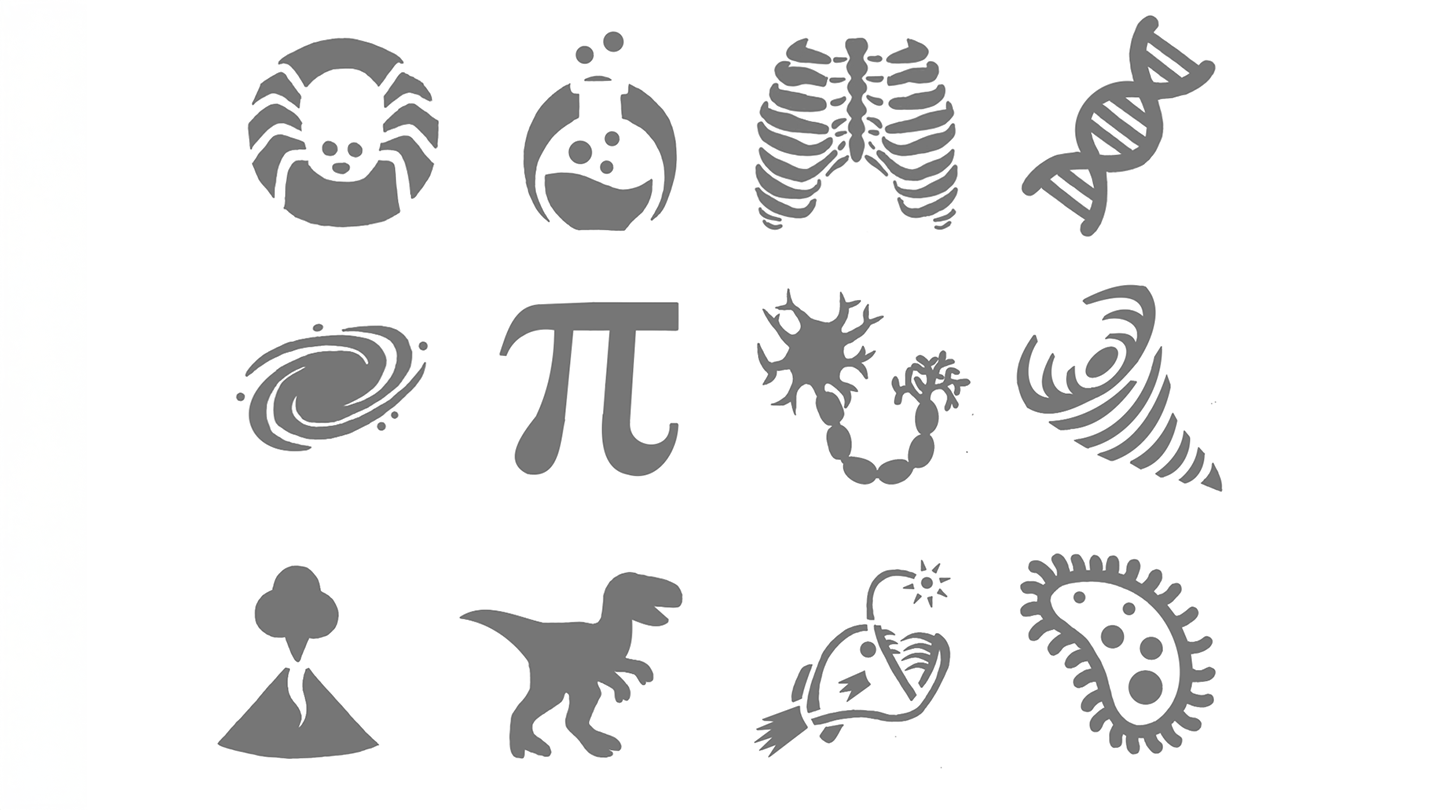 Composite of 12 different science-themed pumpkin carving templates