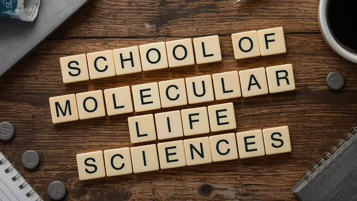 School of Molecular Life Sciences spelled out in Scrabble tiles on a desk