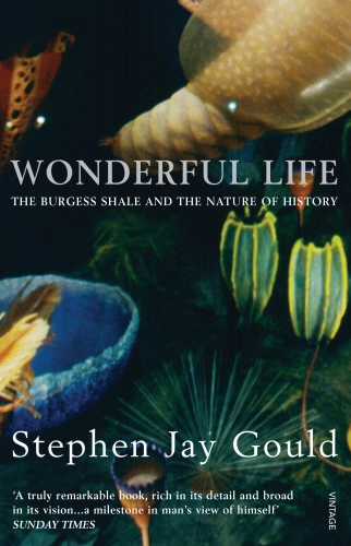 Cover of Wonderful Life