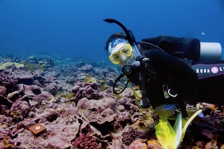 Julia Baum underwater in Kirimati