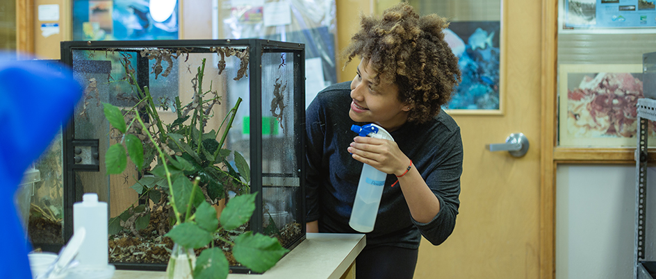 Student with a spray bottle near a bug tank