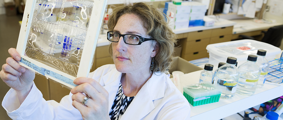 Caroline Cameron in her lab