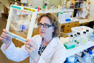 microbiologist Caroline Cameron