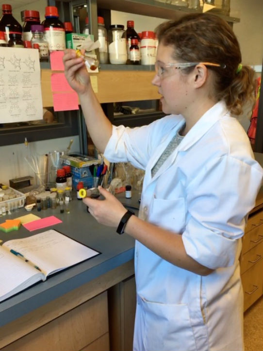 Chemistry graduate student Leah Gajecki at work in the lab.