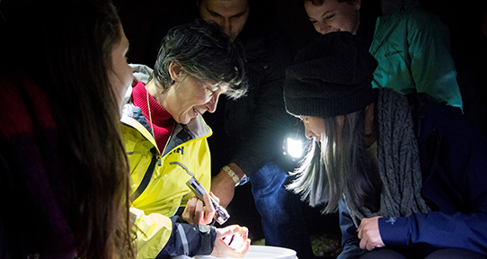 Louise Page examining a biological specimen. She is surrounded by students. They are outside at night.