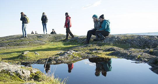 Students walking on rocks near the ocean