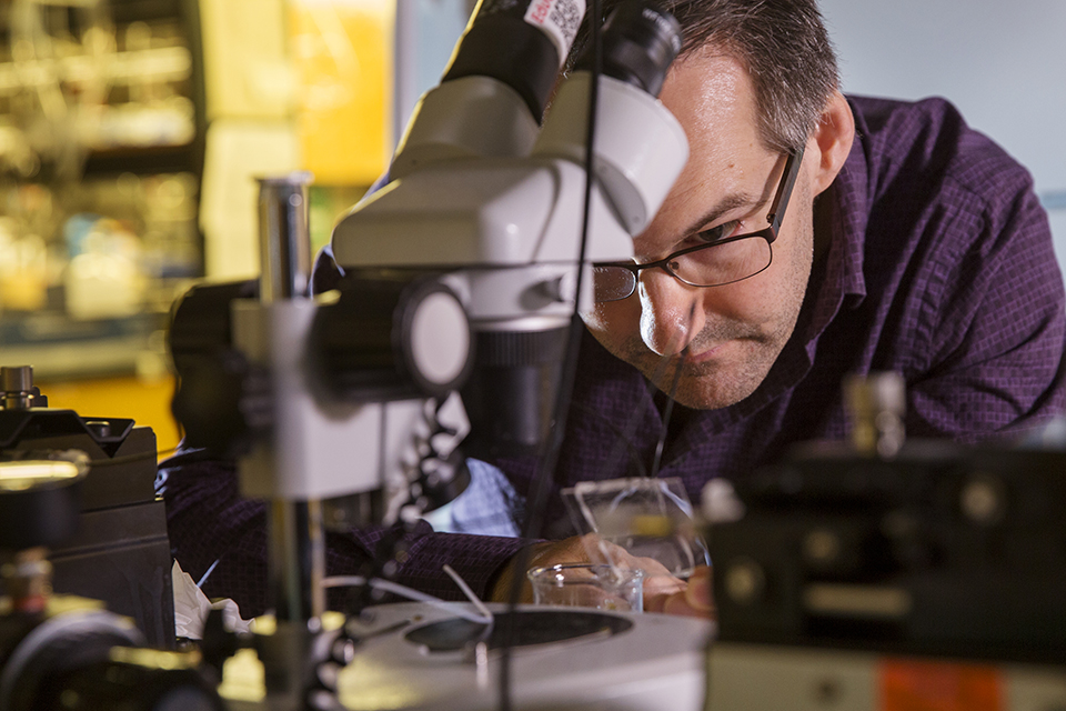 Chemistry researcher Matthew Moffitt uses microfluidic chips to prepare nano-particles for application in drug delivery.