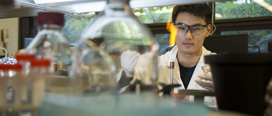 Student in a lab looking at fire off a bunsen burner