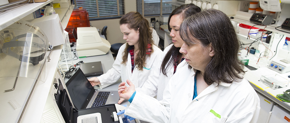 Researcher Caren Helbing in a lab with two students looking at a laptop