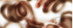 Microbes