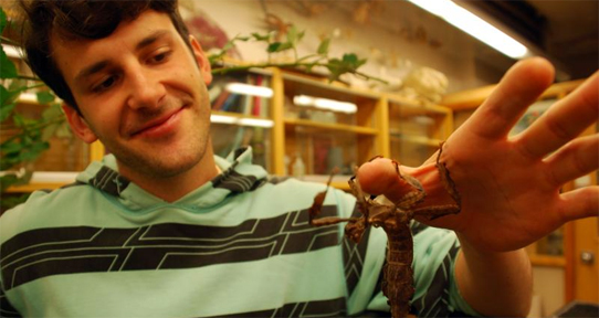Student with an Australian stick bug in our wet lab