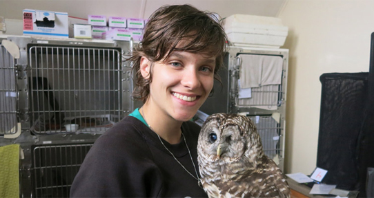 Emily Campbell with an injured owl