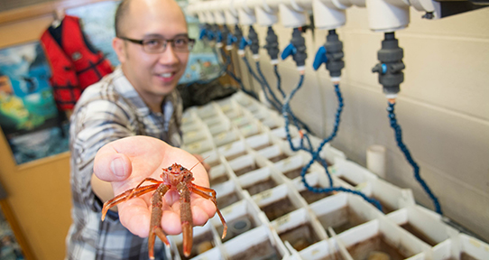 Jackson Chu holding a invertebrate at the camera while in a wet lab
