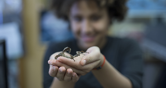 Yamila Franco holding a bug