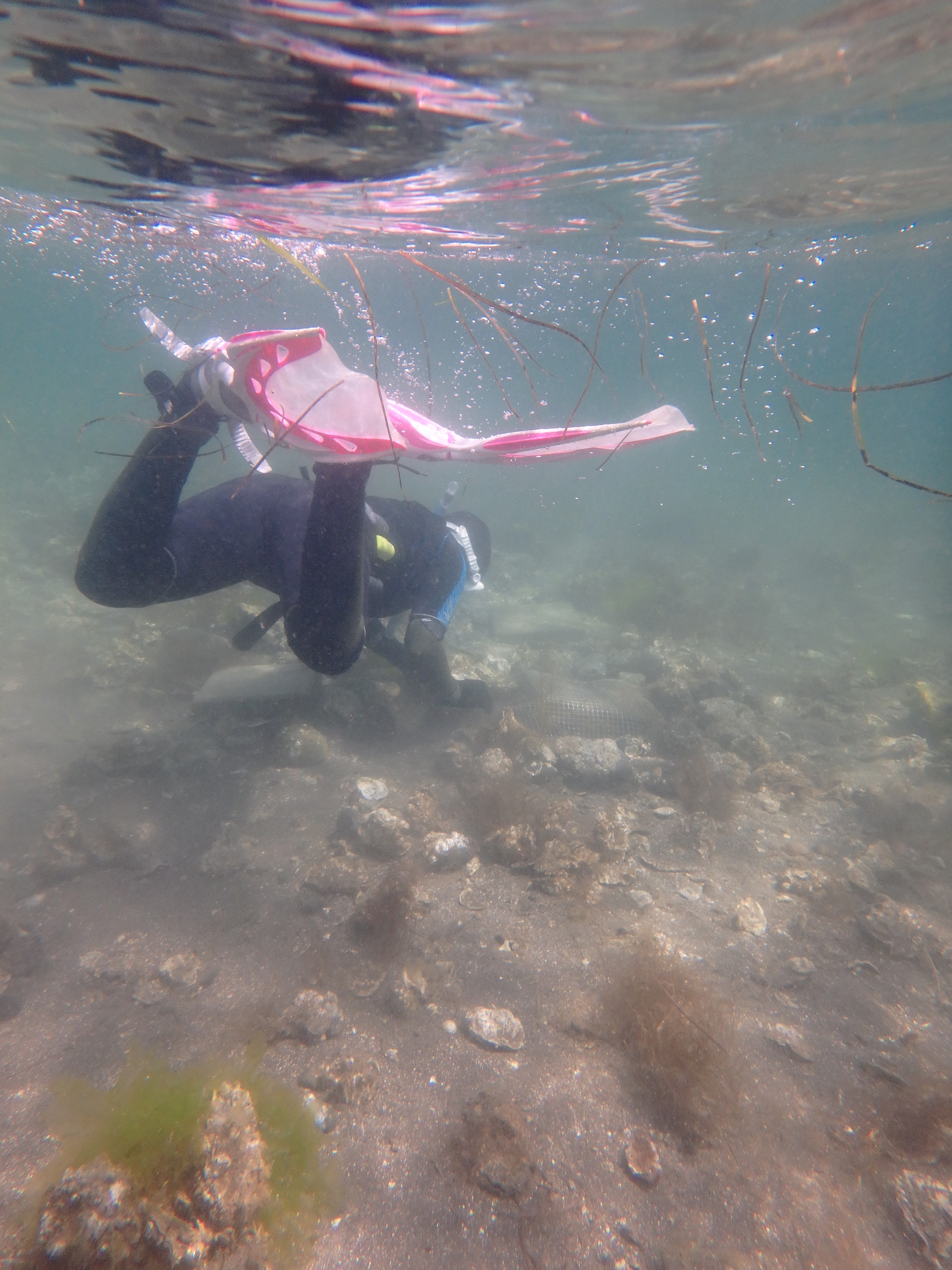 Kenzie doing free snorkeling