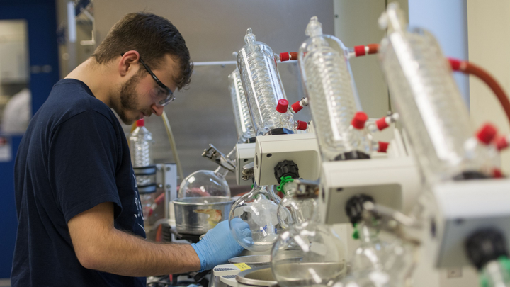 Student working in a lab