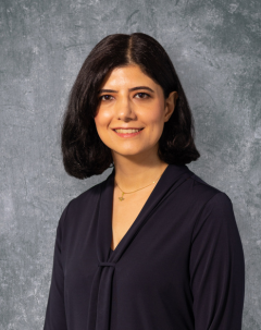 Mehraveh Seyedalikhani