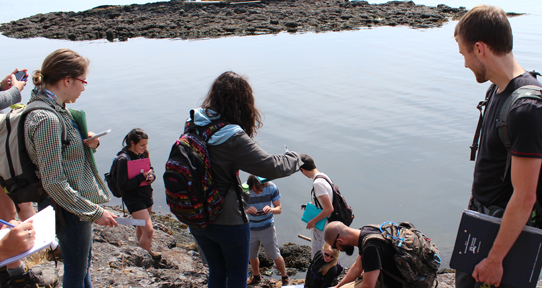 Students conducting research by the ocean