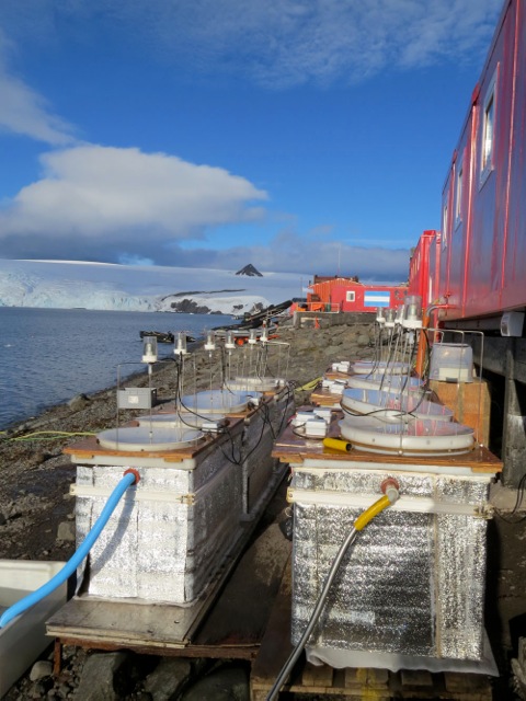 Varela Antarctic Setup
