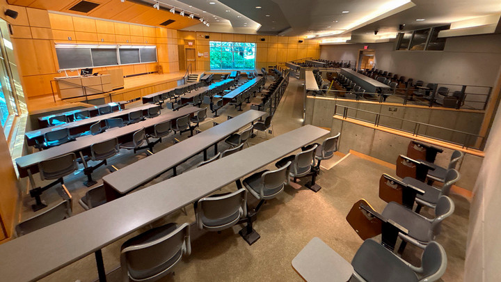 View from the back of the room