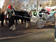 Santa's visit to UVic - Picture Two