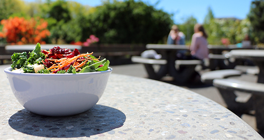 salad on Mystic patio